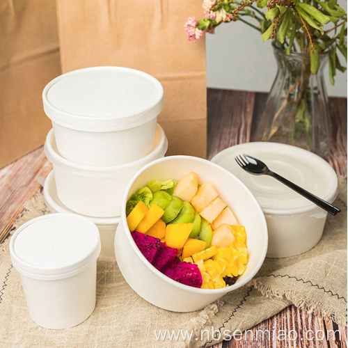 Disposable Food Container PE Coated Waterproof